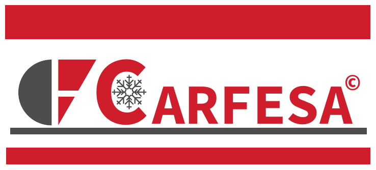Logo de Carfesa